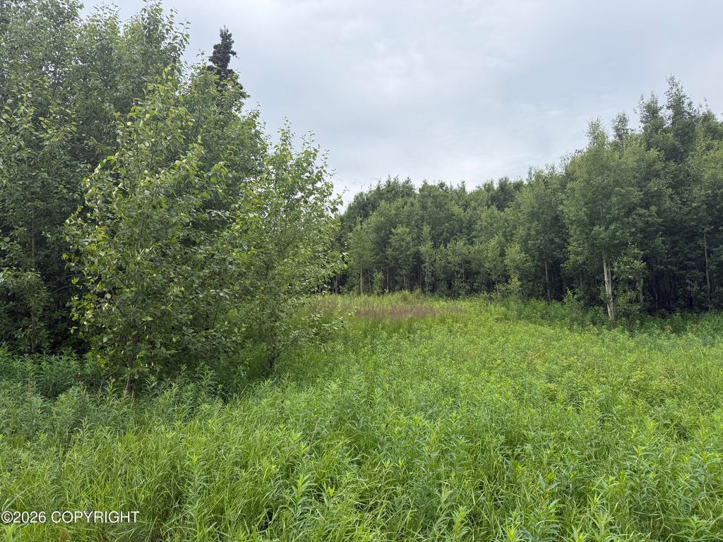 2150 S Sea Biscuit Lane, Palmer, AK 99645