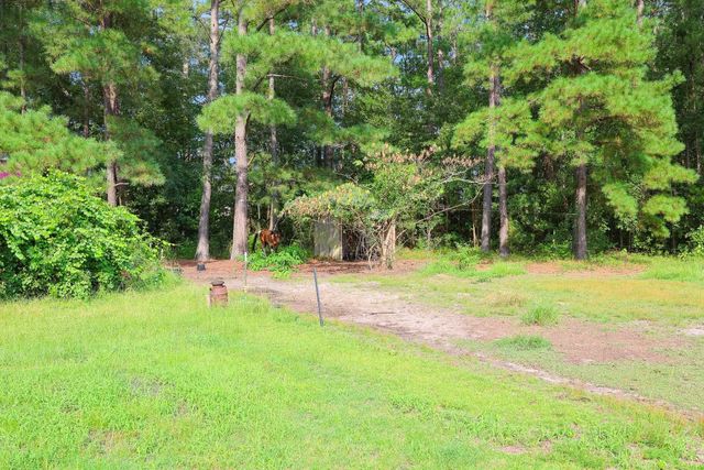 4744 Pauley Swamp Rd., Conway, SC 29527