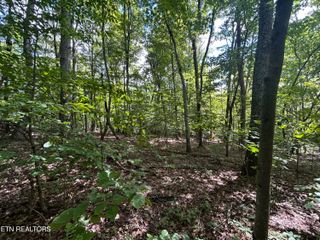 Lots 5&6 Clint Williams Rd, Rutledge, TN 37861