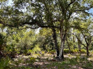 1116 Belmonte Drive, Indian Lake Estates, FL 33855