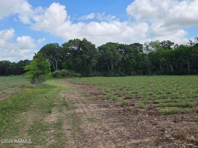 991 Sidney Charles Road, Opelousas, LA 70570