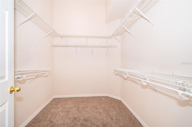 8074 DRESSAGE DRIVE, Orlando, FL 32818