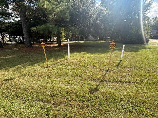 23411 Beau Forest Lane, Hockley, TX 77447