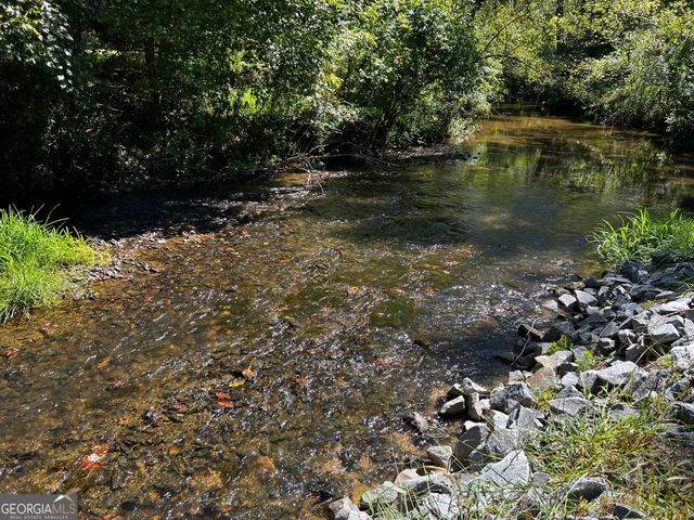 1319 Henry Evans Road, Ellijay, GA 30536