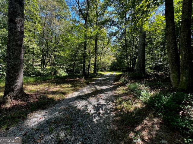 1319 Henry Evans Road, Ellijay, GA 30536