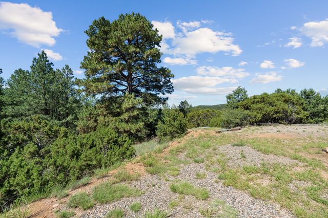 51 Old Forest Trail, Santa Fe, NM 87505