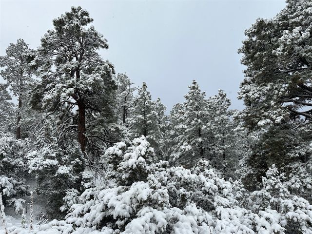 51 Old Forest Trail, Santa Fe, NM 87505