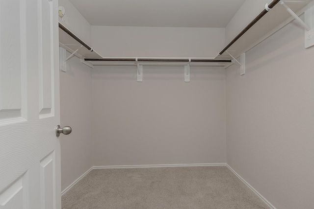 309 Cumberland Forest Drive, Magnolia, TX 77354