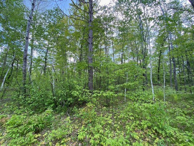 0 Hustvet Dr, Chicog Twp, WI 54888