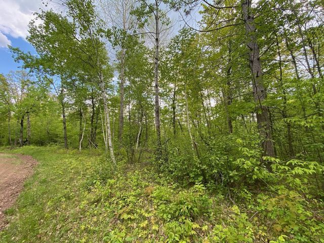 0 Hustvet Dr, Chicog Twp, WI 54888