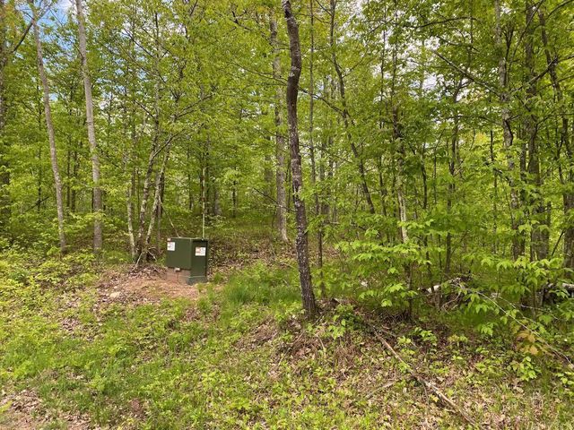 0 Hustvet Dr, Chicog Twp, WI 54888