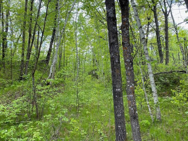 0 Hustvet Dr, Chicog Twp, WI 54888