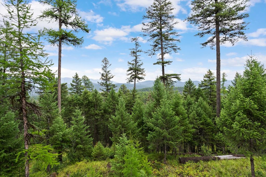 2265 Mountain Home Road, Whitefish, MT 59937 photo 10