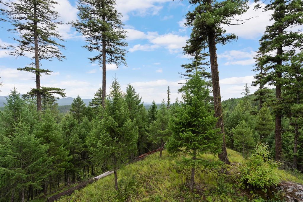 2265 Mountain Home Road, Whitefish, MT 59937 photo 11