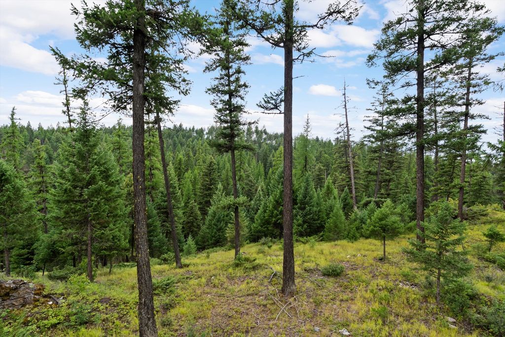 2265 Mountain Home Road, Whitefish, MT 59937 photo 12