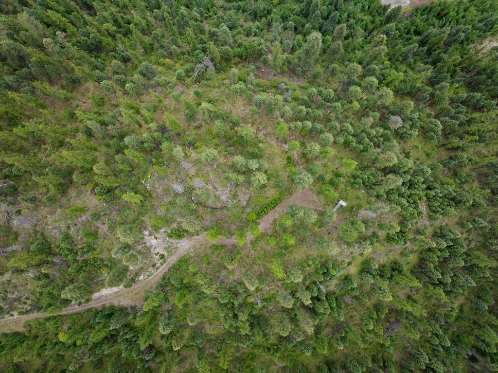 2265 Mountain Home Road, Whitefish, MT 59937 photo 22