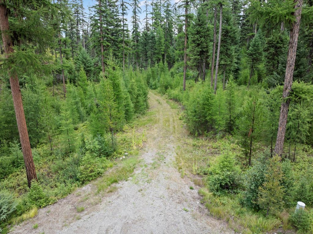 2265 Mountain Home Road, Whitefish, MT 59937 photo 6