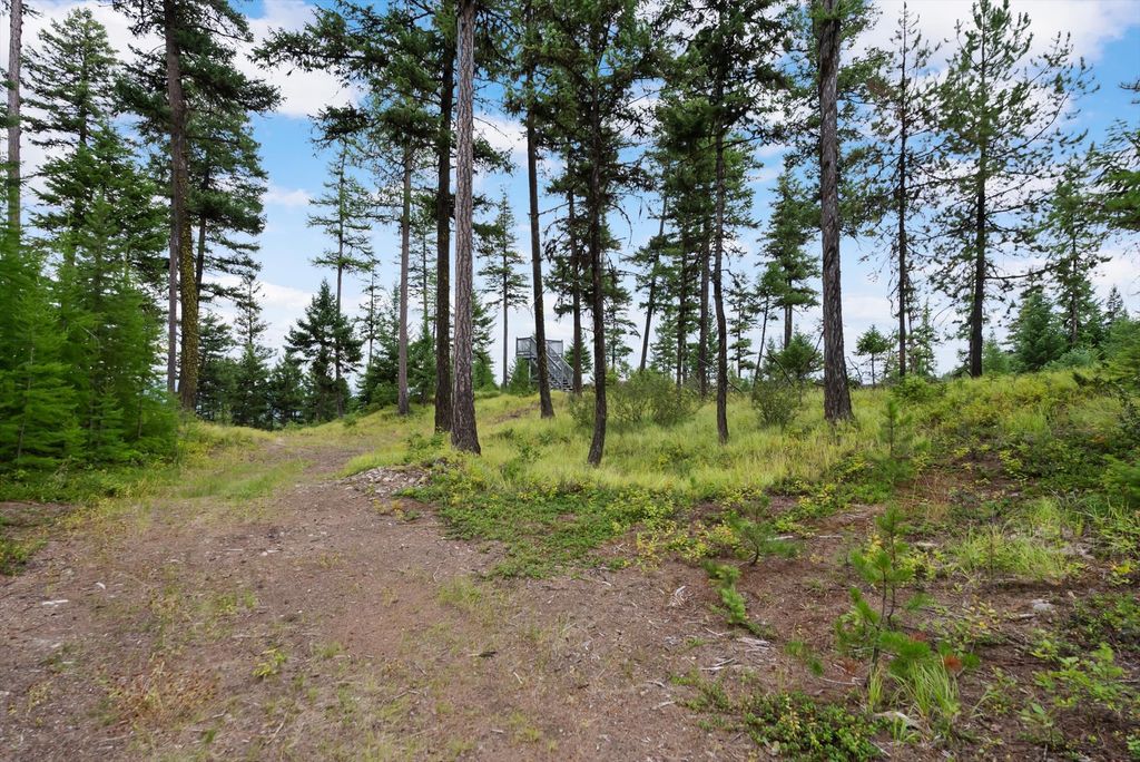 2265 Mountain Home Road, Whitefish, MT 59937 photo 8