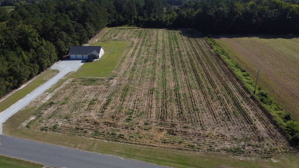 LOT 1 Mar Cap Rd., Galivants Ferry, SC 29544 — photo 2