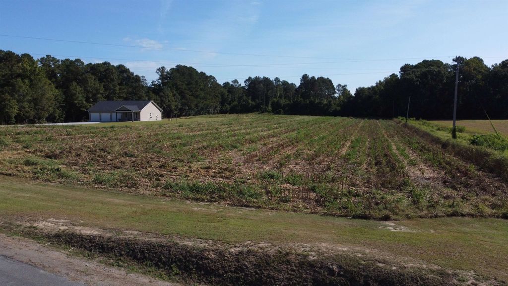 LOT 1 Mar Cap Rd., Galivants Ferry, SC 29544 — photo 4