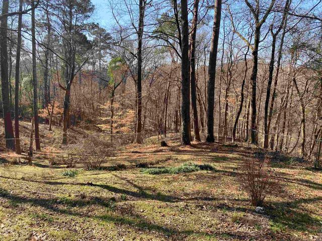 1009 and 1011 Country Club Road, Arkadelphia, AR 71923