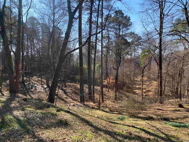 1009 and 1011 Country Club Road, Arkadelphia, AR 71923