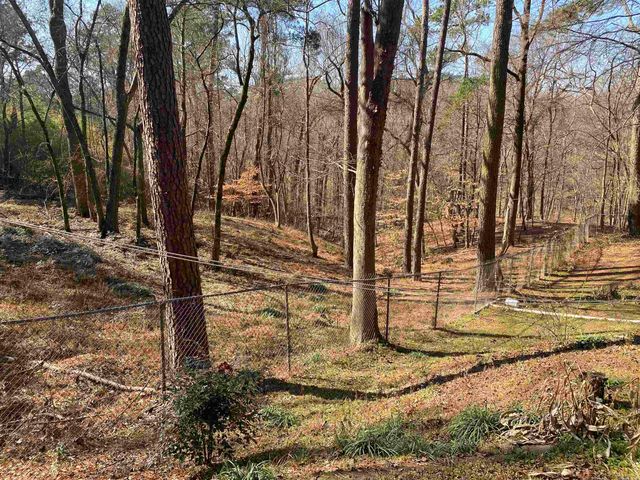 1009 and 1011 Country Club Road, Arkadelphia, AR 71923