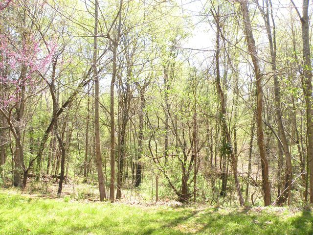 150 J W Thompson Road, N, Westmoreland, TN 37186