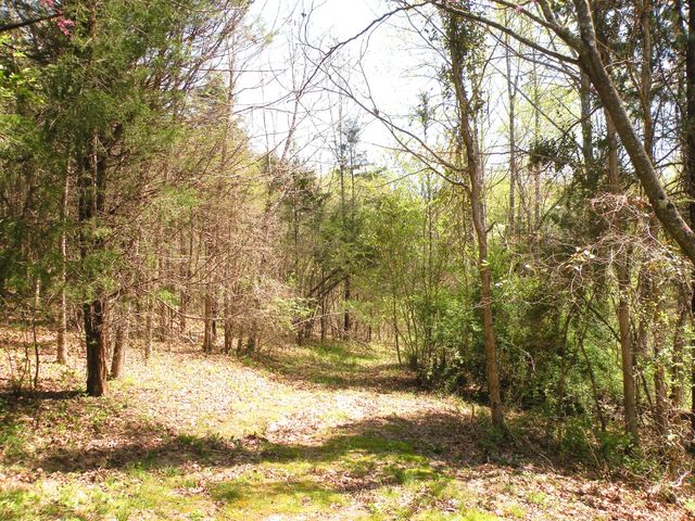 150 J W Thompson Road, N, Westmoreland, TN 37186