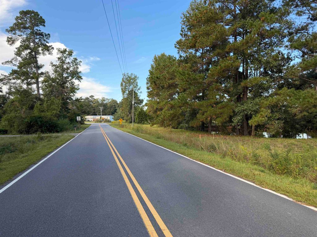 Tract 4 Wise Rd., Conway, SC 29526 — photo 2