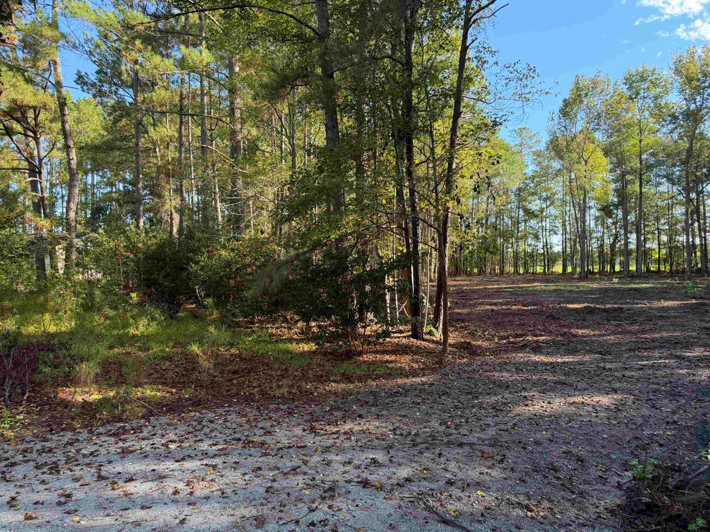 Tract 4 Wise Rd., Conway, SC 29526 — photo 4