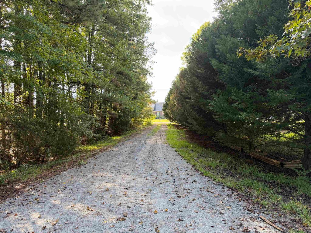 Tract 4 Wise Rd., Conway, SC 29526 — photo 5
