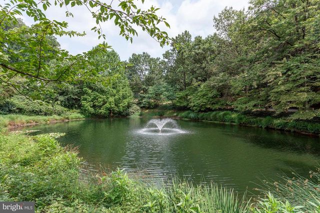 3911 IVY TERRACE CT NW, Washington, DC 20007