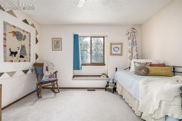 5328 Cliff Point Circle, Colorado Springs, CO 80919