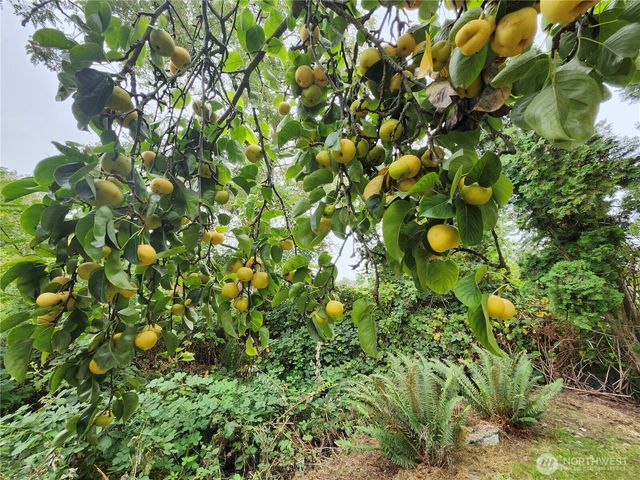 1802 N 35th Street, Mount Vernon, WA 98273