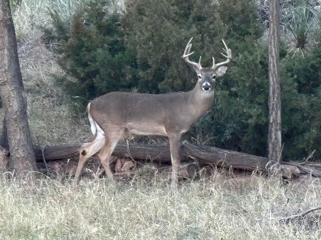 70 E Lakeshore Drive, Ransom Canyon, TX 79366