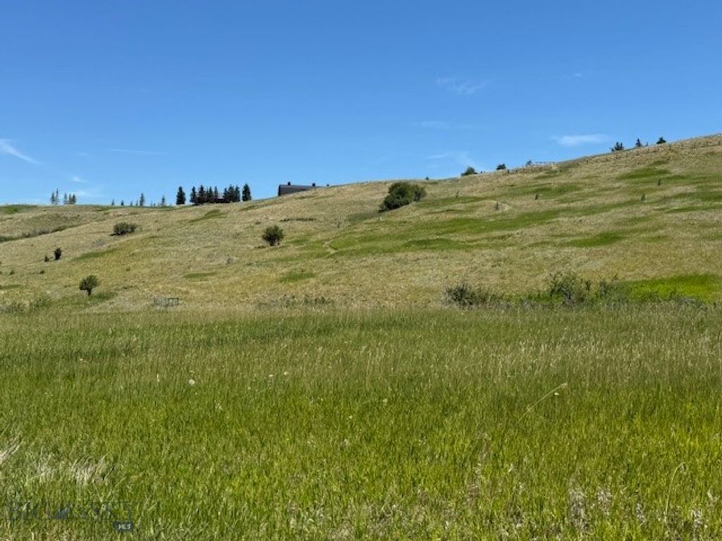 NHN Trooper Trail, Bozeman, MT 59718 photo 9