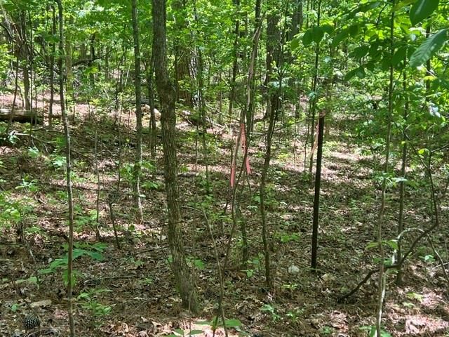 1301 Bob Hunton Road, Douglasville, GA 30134