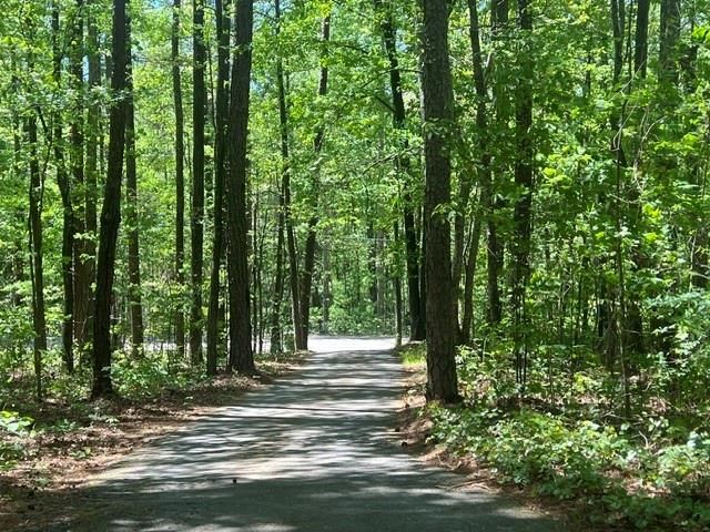 1301 Bob Hunton Road, Douglasville, GA 30134