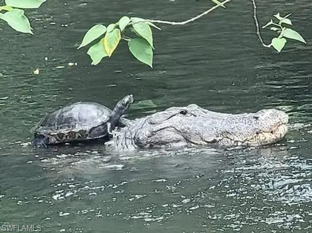 4257 27th CT SW 102, Naples, FL 34116