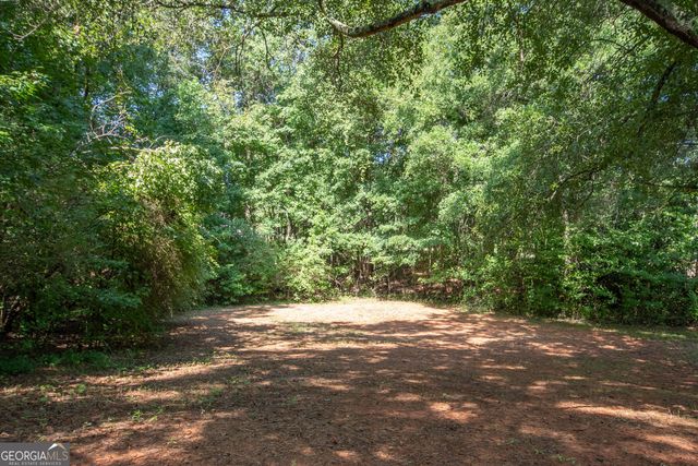 247 Ball Street, Moreland, GA 30259