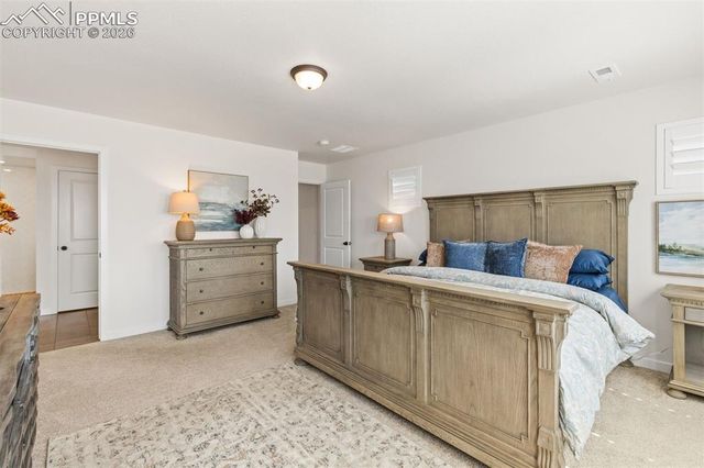 9297 Meccano Point, Colorado Springs, CO 80924