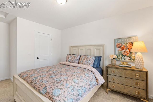 9297 Meccano Point, Colorado Springs, CO 80924