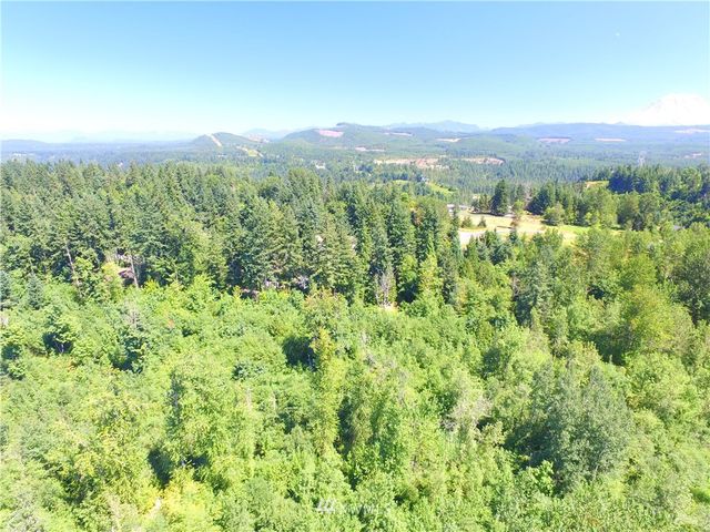 0 240th Street E, Graham, WA 98338