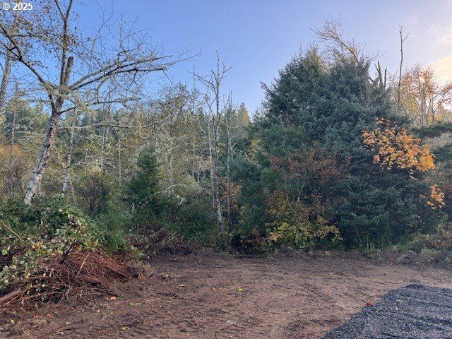 N Echo Mountain Rd TL 200, Otis, OR 97368