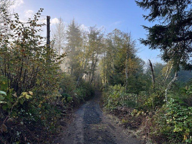 N Echo Mountain Rd TL 200, Otis, OR 97368