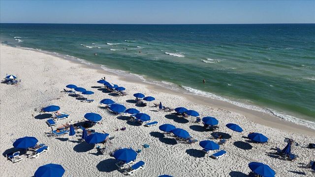 14241 Beach Heather Court, Perdido Key, FL 32507