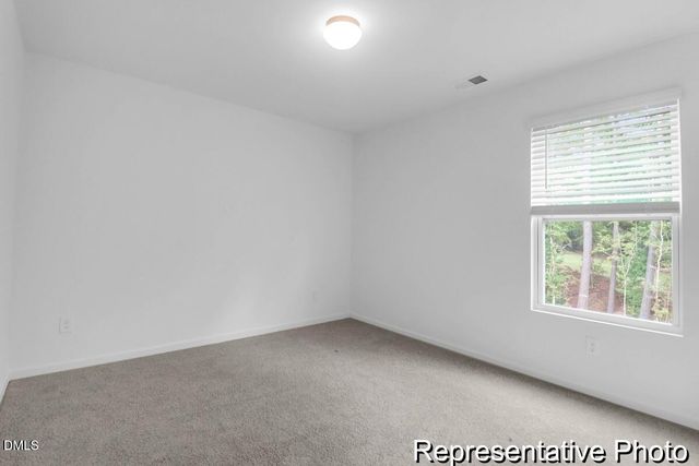 40 Birchstone Trail 225p, Erwin, NC 28334