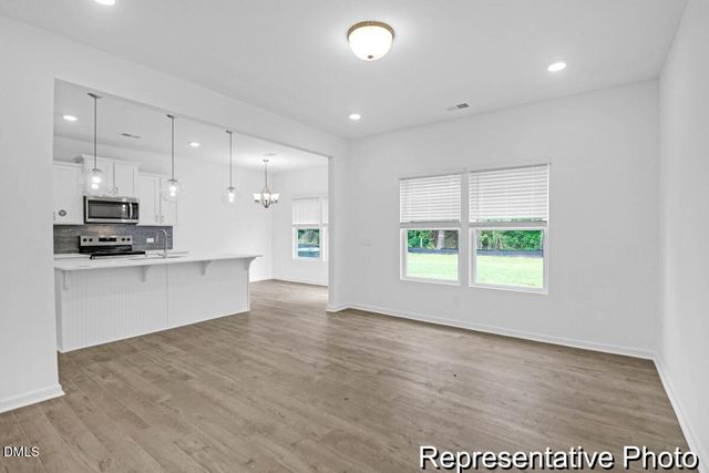 40 Birchstone Trail 225p, Erwin, NC 28334