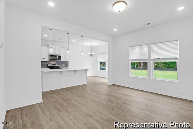 40 Birchstone Trail 225p, Erwin, NC 28334